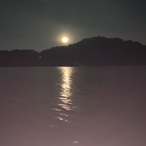 Meet your Posher, Trevor